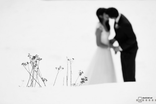 Premios y reconocimientos del 2013