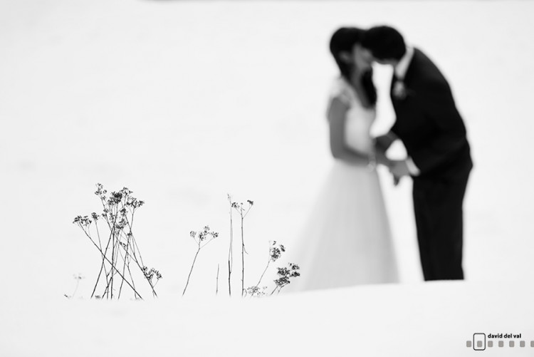 Premios y reconocimientos del 2013